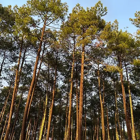6 Personnes Au Calme Dans Les Landes-mimizan Apartment Bias (Landes)
